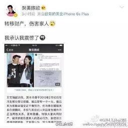 天涯爆料詹仁雄视频播放,詹仁雄视频播放引发热议，揭秘背后真相