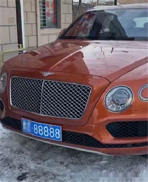 蔡老板爆料宾利视频播放,奢华背后的故事